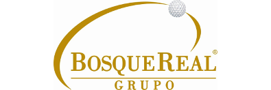 Departamento de Sistemas Grupo Bosque Real